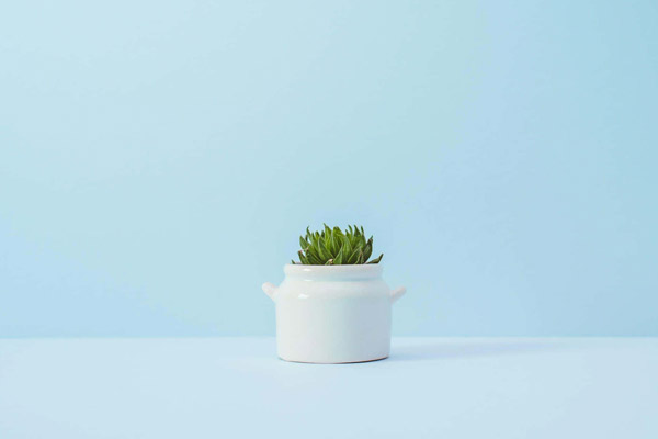 Minimalist Yaşam Koçu